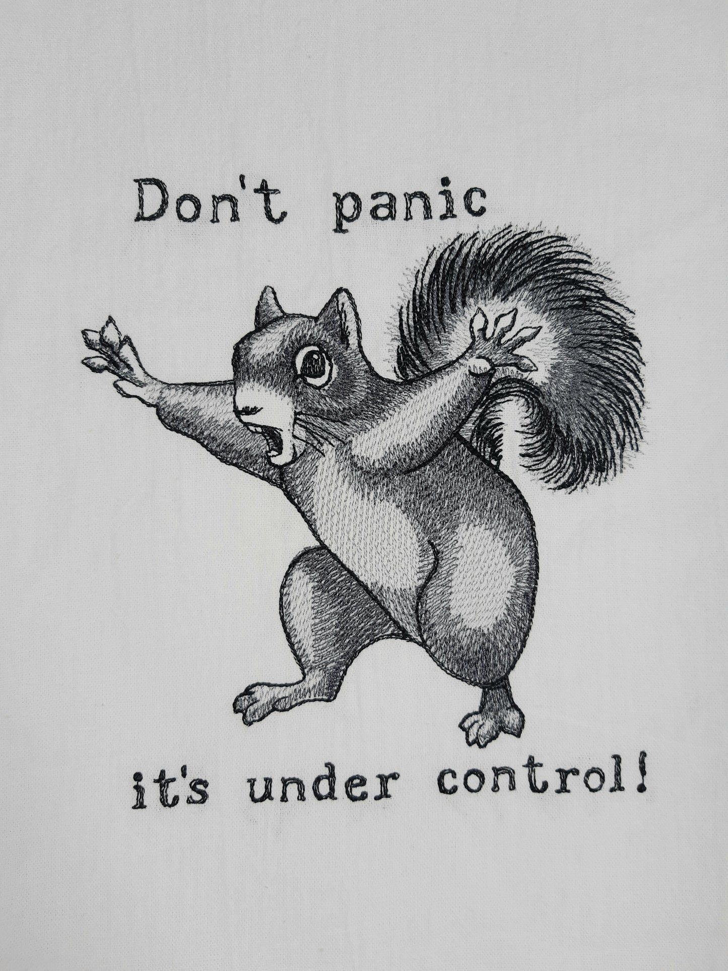 Squirrel Tea Towel, Embroidered Kitchen Towel, Flour Sack Towel, Funny Animal Towel