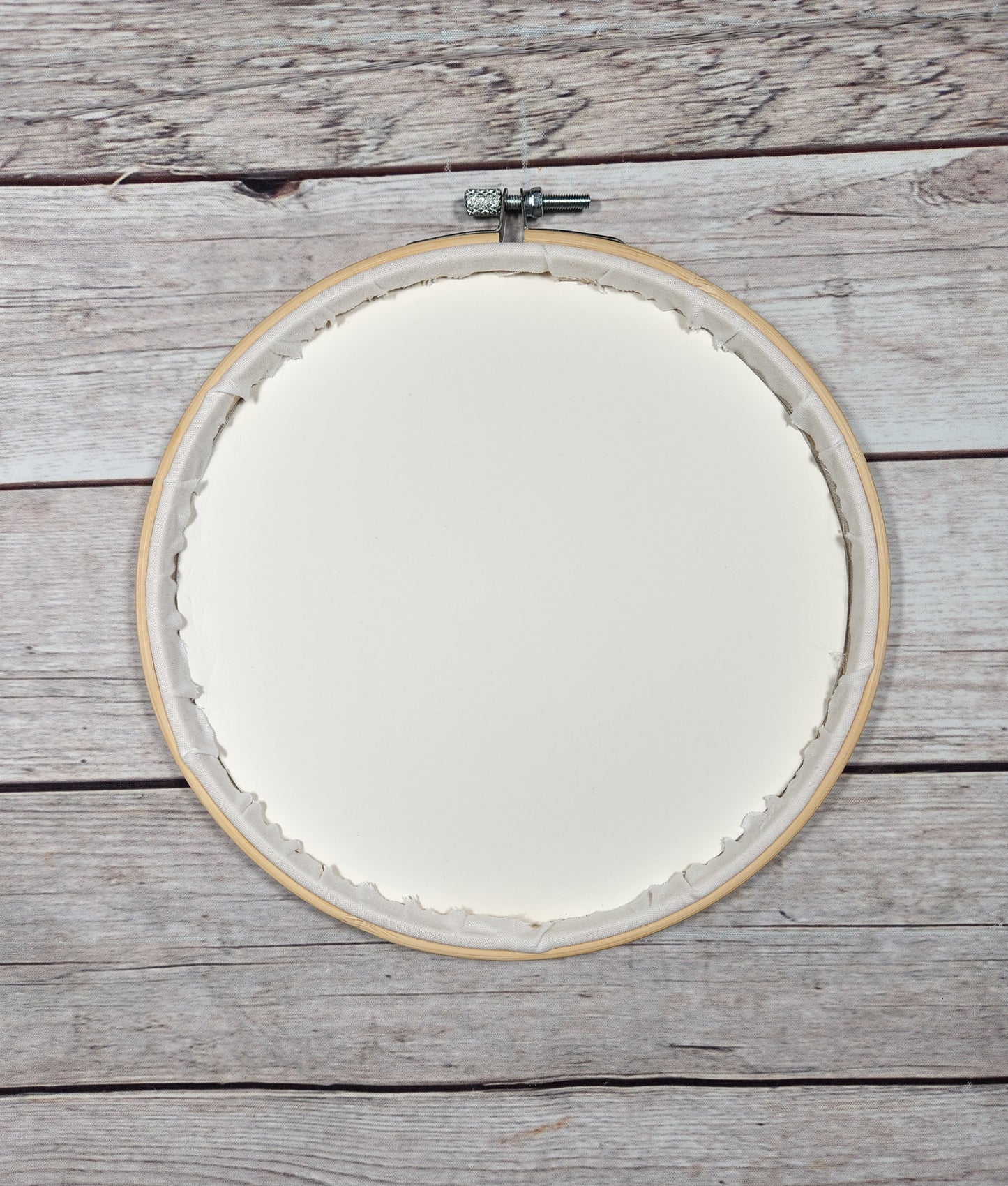 Raccoon Hoop, 8 inch hoop Embroidery, Fall Wall Art, Nature Hoop, Finished Embroidery, Autumn Wall Hoop