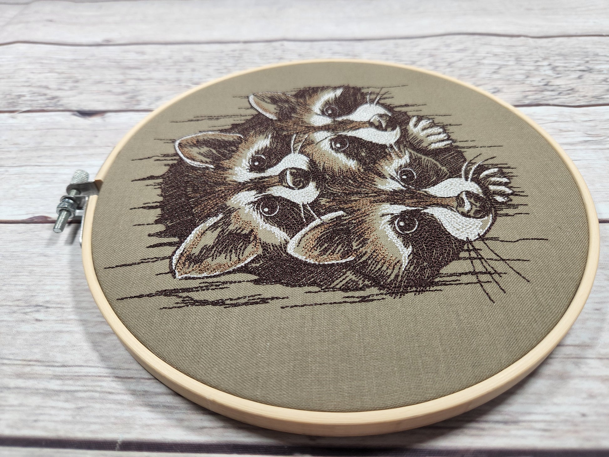 Raccoon Hoop, 8 inch hoop Embroidery, Fall Wall Art, Nature Hoop