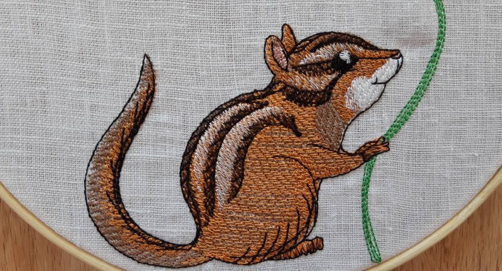 Chipmunk Embroidered hoop art, 8 inch hoop